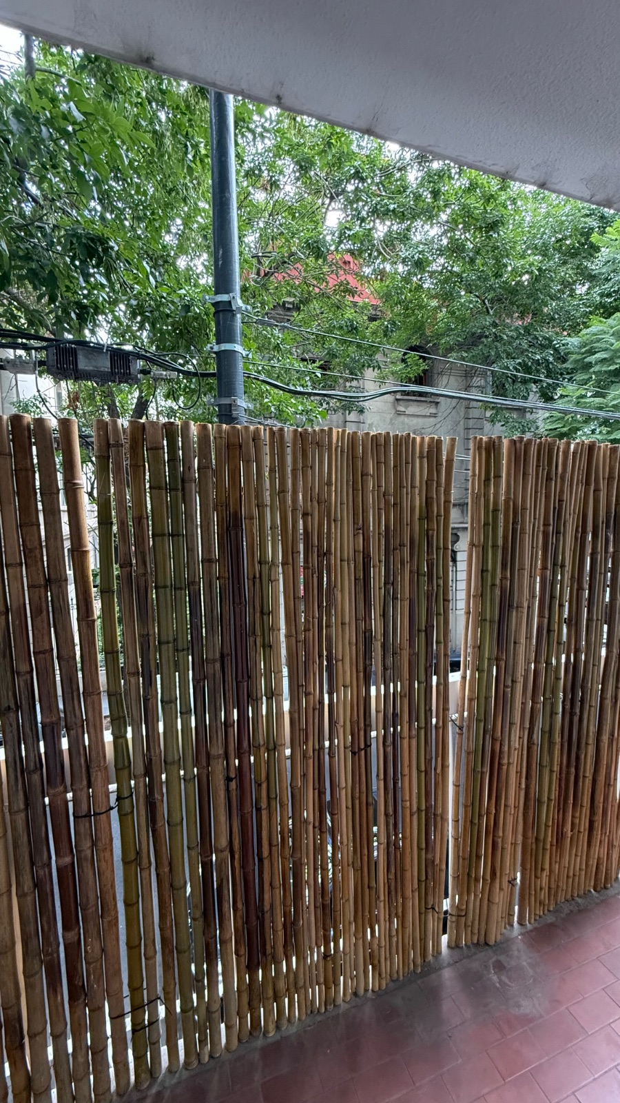 Cañas de bambú 1 metro ancho x 1.85