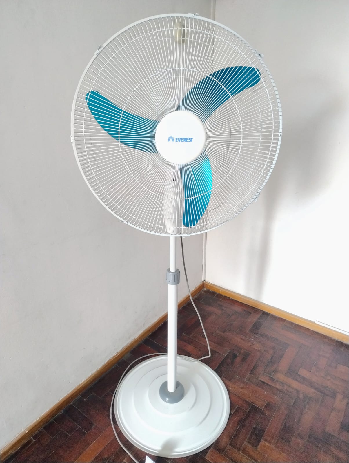 Ventilador Everest 