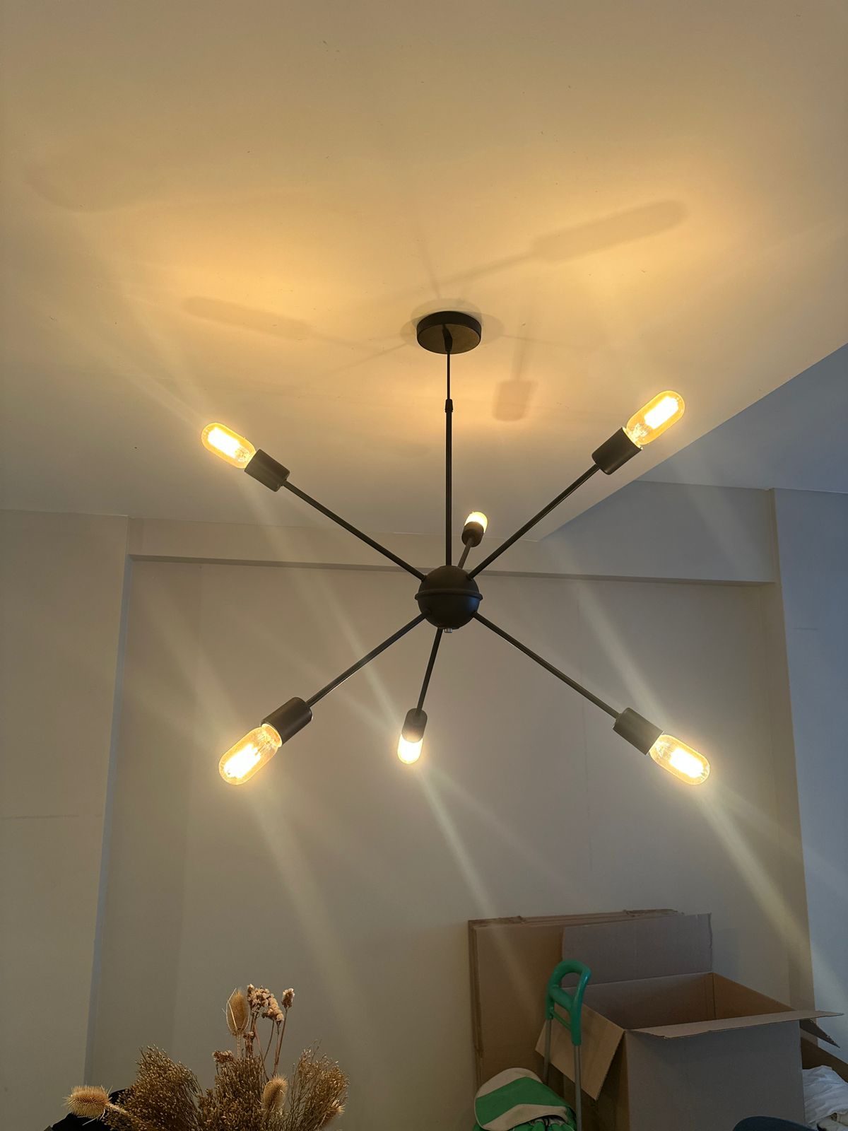 Lampara Sputnik de Hierro Negro