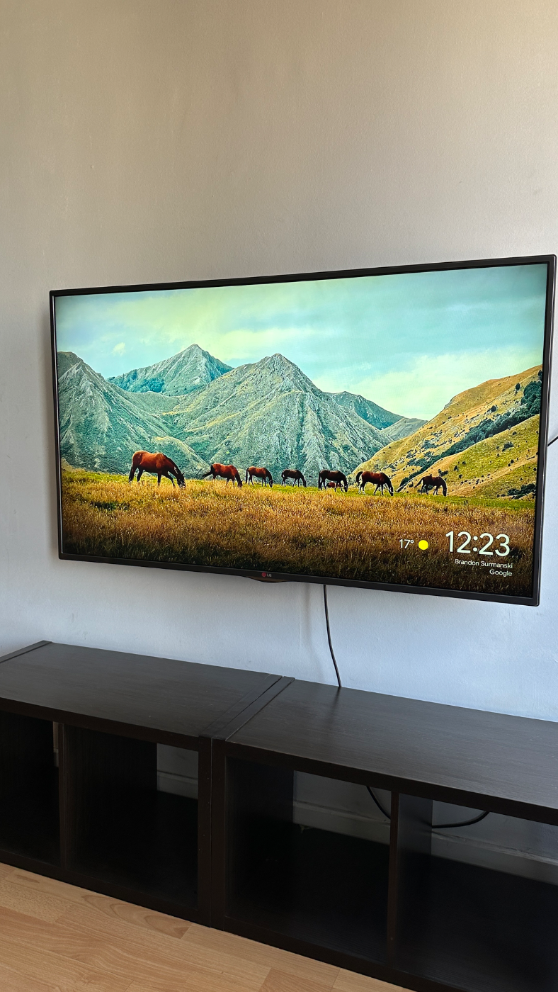 smart TV LG 55 pulgadas Full HD wifi excelente estado